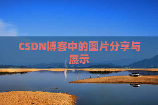CSDN博客中的图片分享与展示
